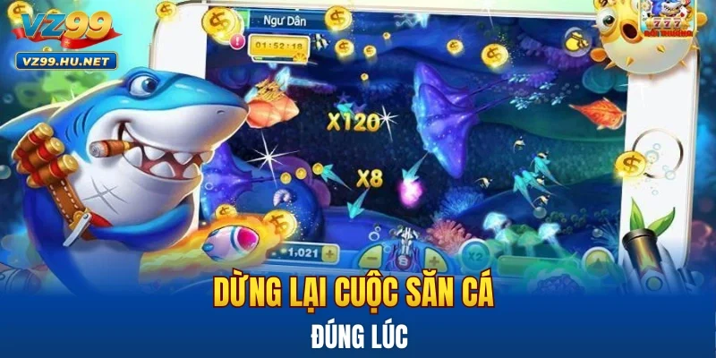 Dừng lại cuộc săn cá đúng lúc